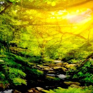 Green Velvet Nature Backdrop For Photography